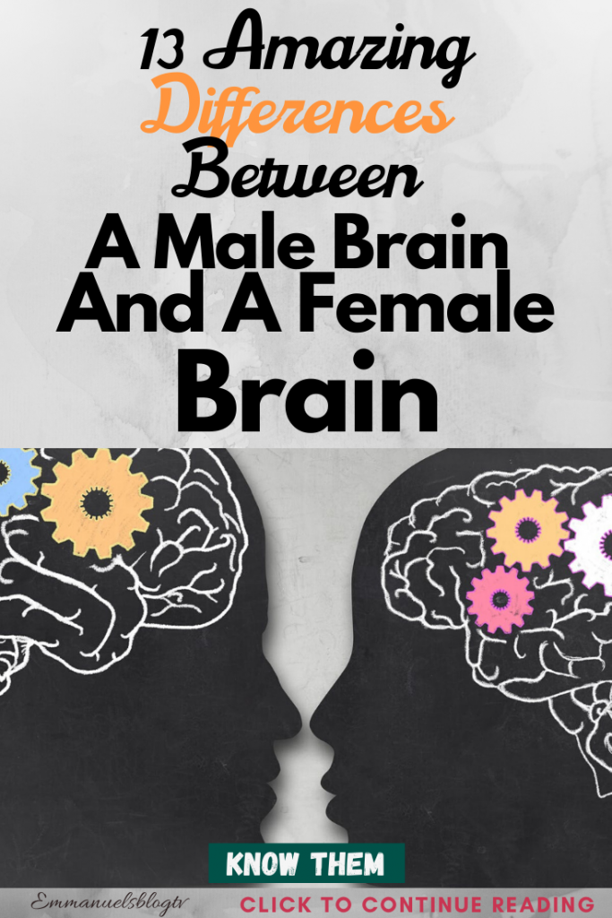 13 Amazing Differences Between A Male Brain And A Female Brain - Page 2 ...