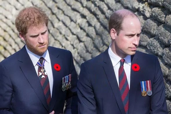 Harry and William to 'Put on Brave Face' at Diana Statue Unveiling - Brothers to Reunite