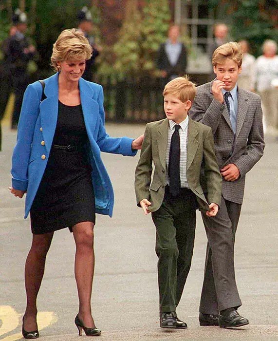 Prince William and Prince Harry's Most Heartwarming Quotes About their Mum Princess Diana