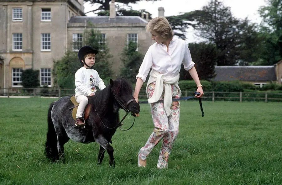 Prince William and Prince Harry's Most Heartwarming Quotes About their Mum Princess Diana