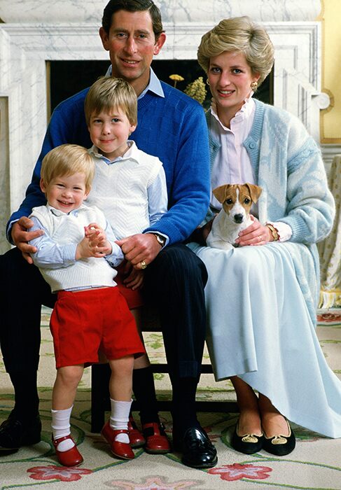 What did Prince William and Prince Harry Inherit From Princess Diana?