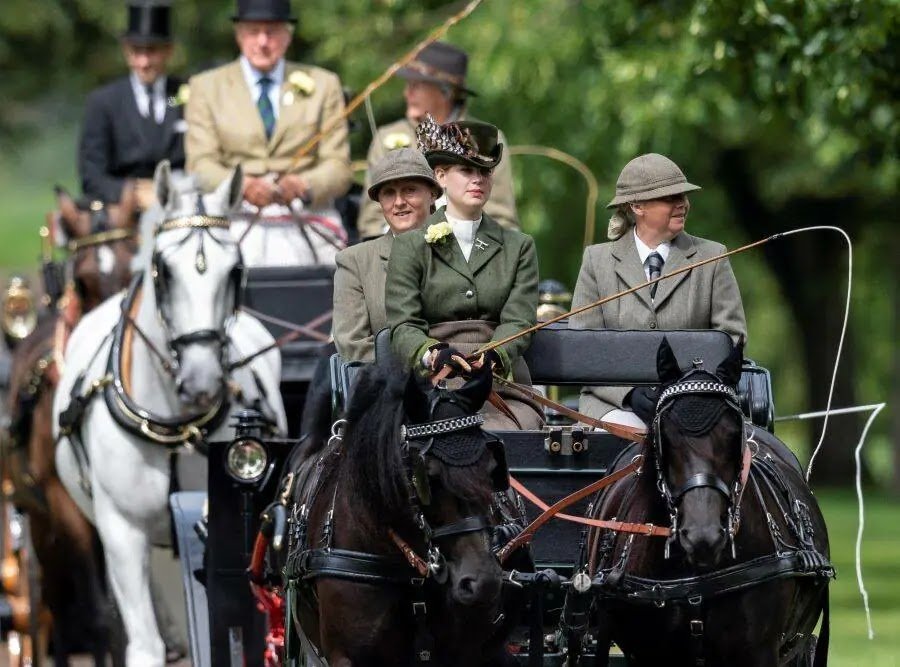 Lady Louise Windsor Drives Prince Philip's Carriage at Royal Windsor Horse Show