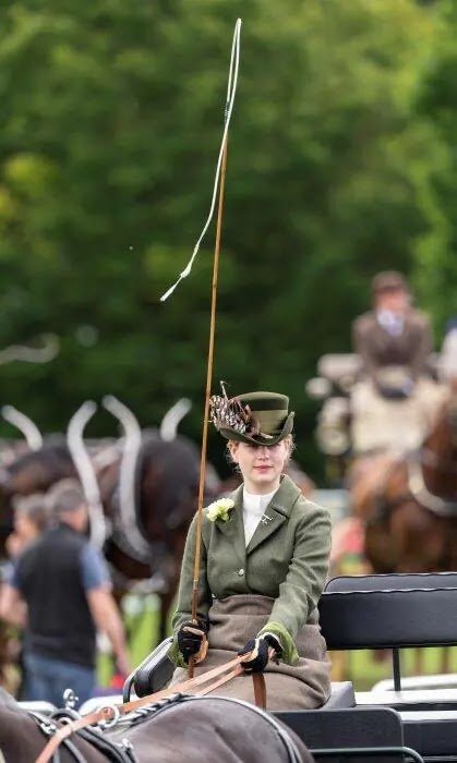 Lady Louise Windsor Drives Prince Philip's Carriage at Royal Windsor Horse Show