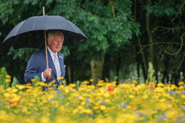 Prince Charles Keeps his Cool as Boris Johnson Struggles with Umbrella