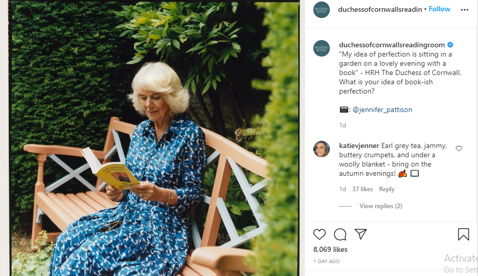 Duchess of Cornwall gets Royal Fans talking with Stunning New Portrait