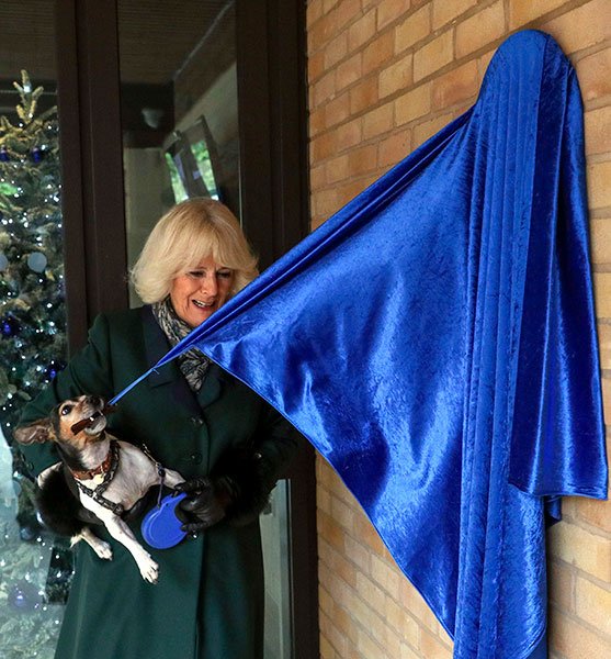 The Duchess of Cornwall Pictured on a dog Walk in Heartwarming Photo