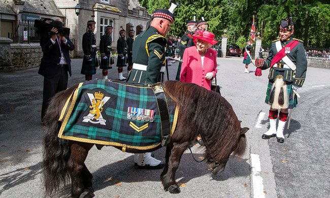 The Queen Remains at Balmoral as Staff member Tests Positive for COVID-19