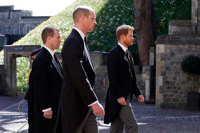 Prince Harry's 'conversations with Prince William during UK trip' Revealed