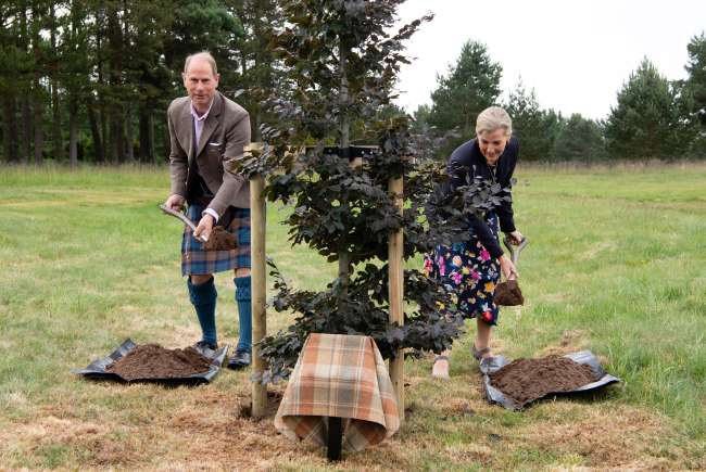 Prince Edward and the Countess of Wessex's Christmas Card Revealed