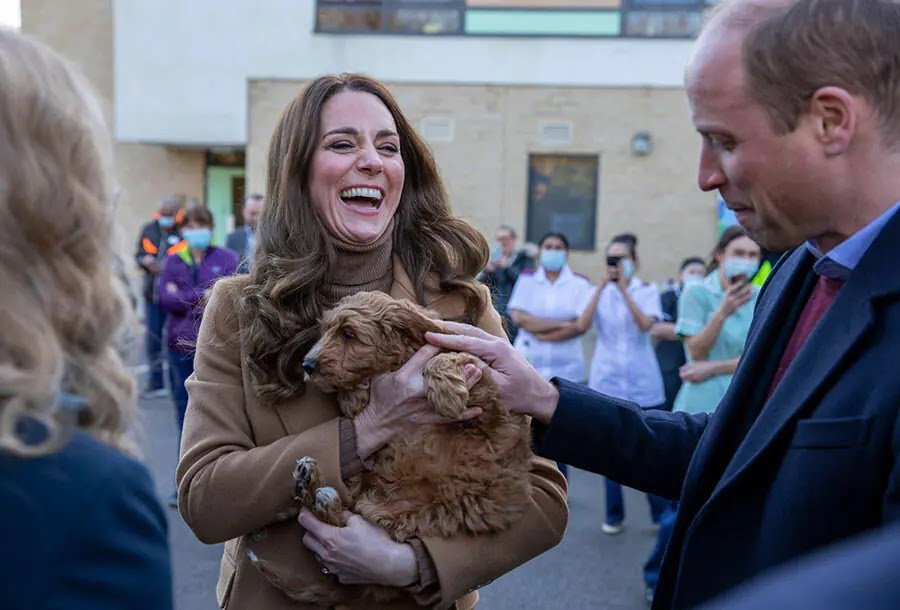Photos: Kate Middleton and Prince William Meet Therapy Puppy At Lancashire Hospital