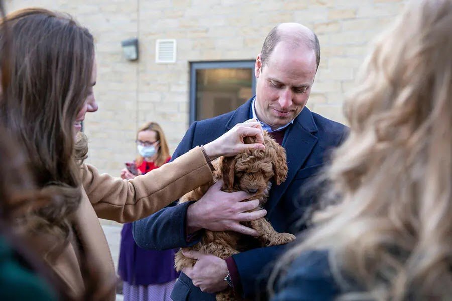 Photos: Kate Middleton and Prince William Meet Therapy Puppy At Lancashire Hospital