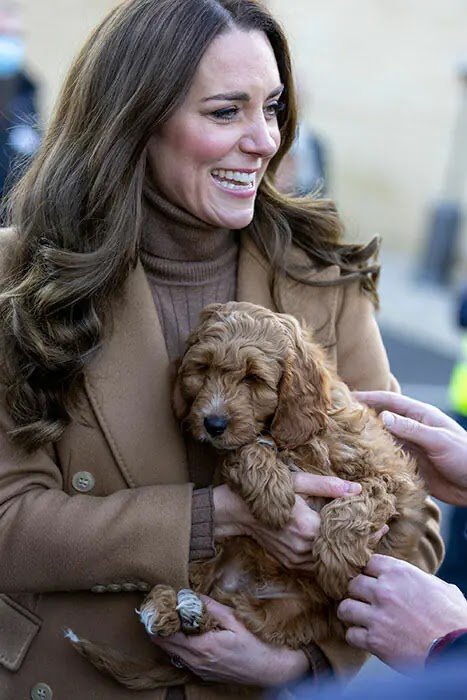 Photos: Kate Middleton and Prince William Meet Therapy Puppy At Lancashire Hospital
