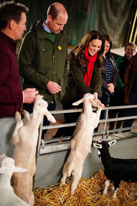 Prince William Stuns Onlookers With Sweet Comments About Kate Middleton