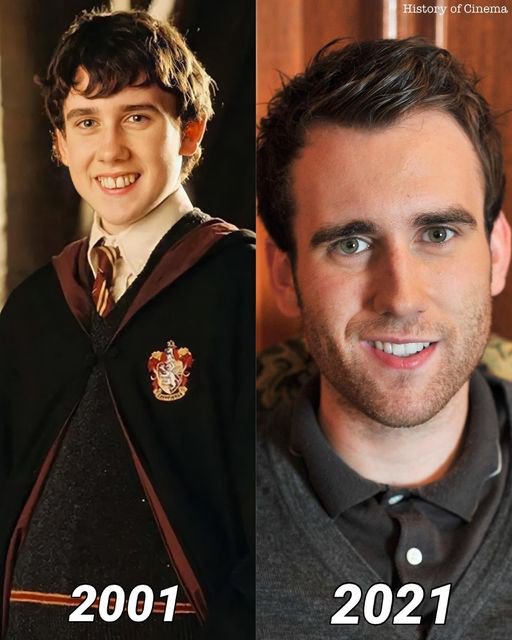What Exhausted The Patience Of Actor Matthew Lewis?
