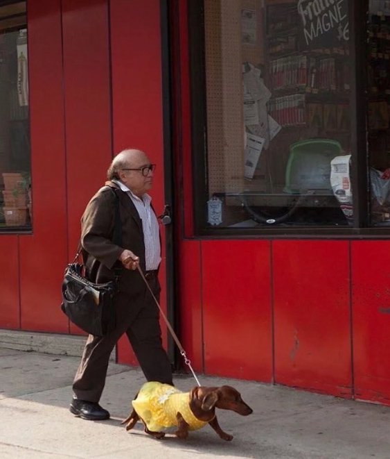Which Is The Most Adorable Picture Of A Celebrity Taken By A Paparazzi?