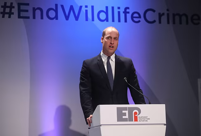 William is passionate about wildlife