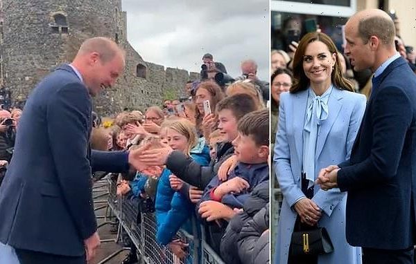 Moment Schoolboy Squeals With Joy After Meeting William And Kate