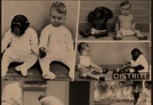 The Kellogg’s experiment: One of the creepiest experiments ever done in human history