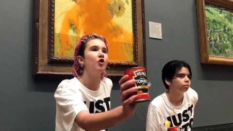 Video: Climate change activists splash mashed potato on £96M Monet painting