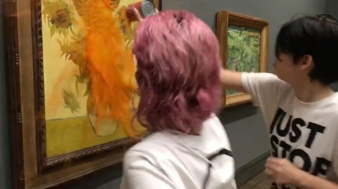 Video: Climate change activists splash mashed potato on £96M Monet painting