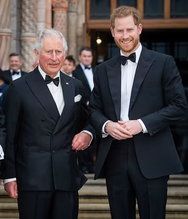 Prince Harry was previously the Captain General Royal Marines