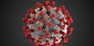 41 Funniest Coronavirus Tweets and Memes To Get Through Self-Isolation