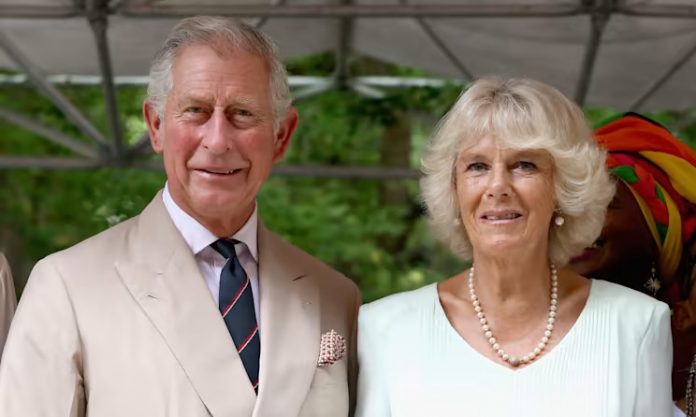 2 King Charles Appears In Striking New Birthday Photo - As Poignant New Role Is Revealed