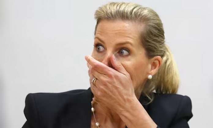 6 Royal Family Forced To Delete Tweets After A Series Of Major Errors