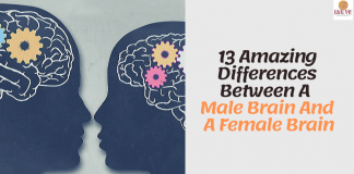 13 Amazing Differences Between A Male Brain And A Female Brain