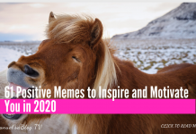 61 Positive Memes to Inspire and Motivate You in 2020