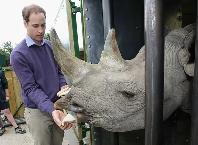 William has spoken of the importance of protecting the natural world