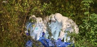 Nursing Mother Commits Suicide Inside a Bush in Abuja, Two-year-old Daughter Crying Beside Her Corpse
