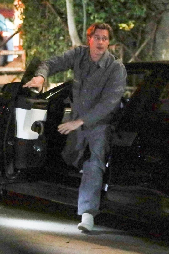 Brad Pitt Looks Smitten Celebrating His 59th Birthday With New Love, Ines De Ramon