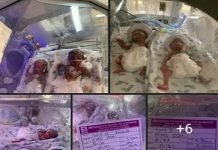 UNIZIK Lecturer Delivered Sextuplets, Says Hospital Threatening To Stop Medication On The Babes Unless The Bill Of 19m Is Paid UNIZIK Lecturer Delivered Sextuplets, Says Hospital Threatening To Stop Medication On The Babes Unless The Bill Of 19m Is Paid