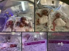 UNIZIK Lecturer Delivered Sextuplets, Says Hospital Threatening To Stop Medication On The Babes Unless The Bill Of 19m Is Paid