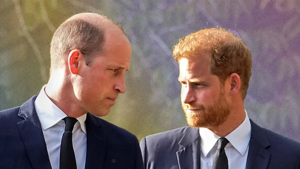 Prince Harry Discourses Relationship With Prince William: 'I Would Like To Have My Brother Back, I Love Him' 