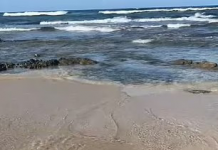 How yoga has turned into porn on TikTok