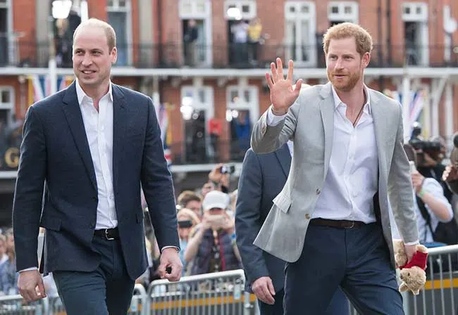William joined Harry during a surprise walkabout