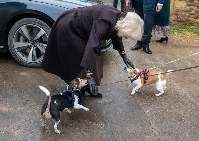 Camilla greets her beloved pups