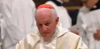 Catholic cardinal accused of sex assault twice to quit from Vatican job