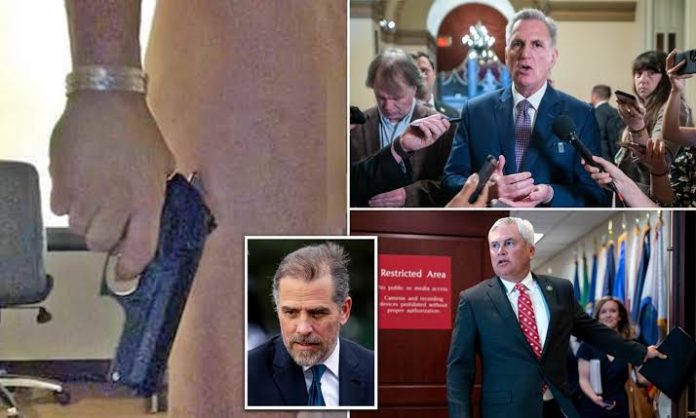 Hunter Biden's guilty plea in tax fraud case branded a 'distraction' from 'corruption, influence peddling and bribery' allegations