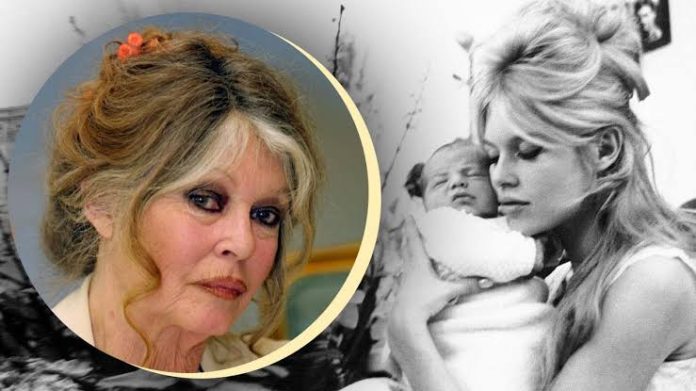 Actress Brigitte Bardot suffers breathing issues as ambulance rushes to her aid 4