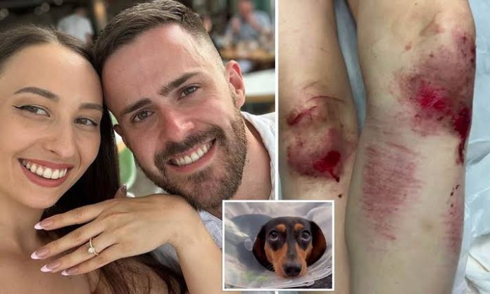 Bride-to-be and her beloved dog are MAULED just weeks before her dream wedding