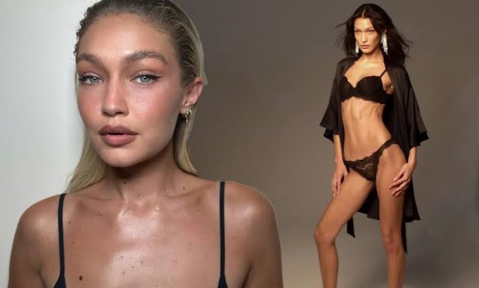 Gigi Hadid ADDRESSES comment she made about Bella Hadid's 'comeback' amid Lyme disease battle 12