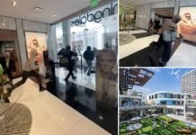 Moment gang of robbers dash out of Gucci store with THOUSANDS of dollars worth of luxury items: watch