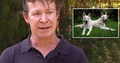 Man admits raping DOZEN of dogs at his animal shelter 4543