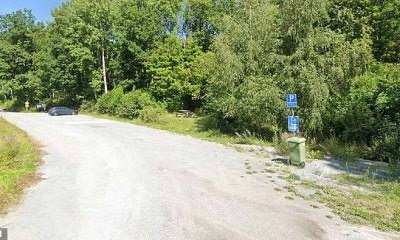 16-year-old girl and her brothers 'lure taxi driver into the woods before hanging him in REVENGE for r@ping her'