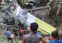 Bus crash KILLS 25 passengers as vehicle plunges into a gully