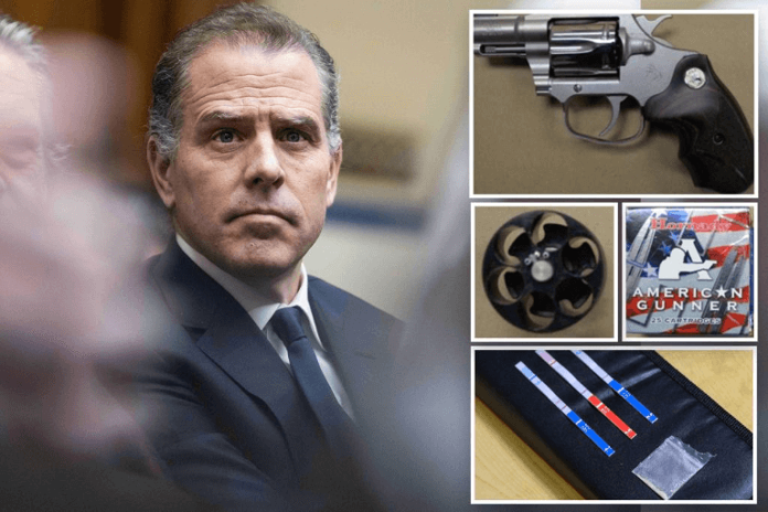_Hunter Biden’s gun pouch tested FOR cocaine last year after his sister-in-law turned lover tossed it in trash 76262
