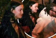 Irina Shayk enjoys a night out with pal Lewis Hamilton AMID rumors of her rekindling romance with Tom Brady